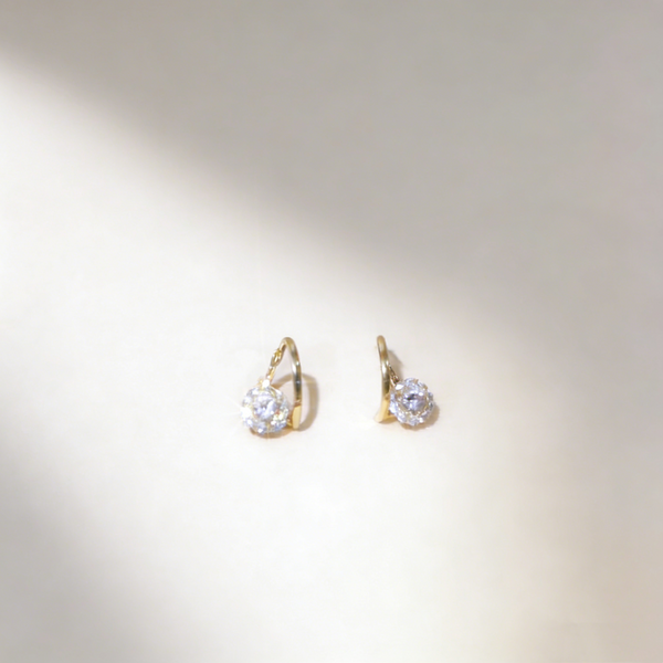 Fortune Spinner Rotating Earrings